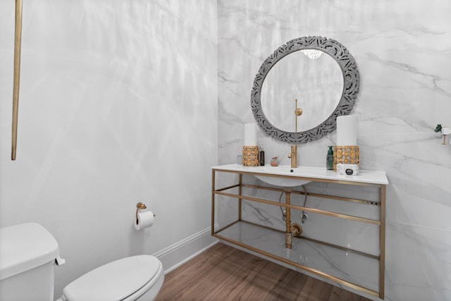 bathroom featuring toilet, vanity, and wood-type flooring