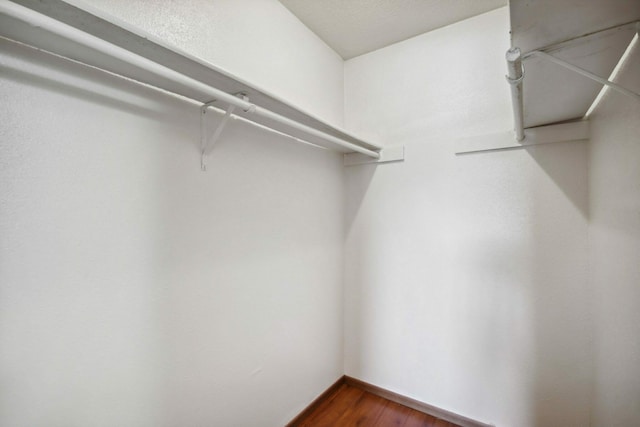 12502 Ashford Meadow Dr Unit 4, Houston, TX 77082 - photo 14