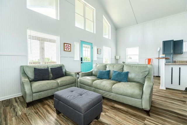 living room featuring high vaulted ceiling and dark hardwood / wood-style flooring