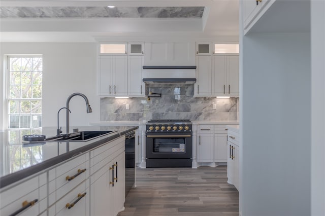 kitchen with tasteful backsplash, white cabinetry, high quality stove, light hardwood / wood-style flooring, and sink