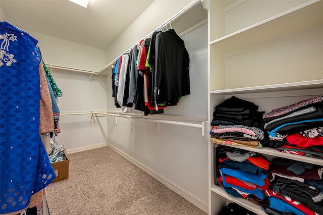 walk in closet with light colored carpet