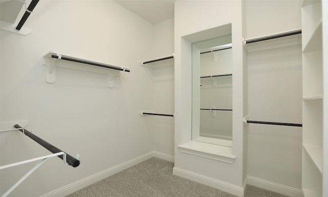 spacious closet featuring carpet floors