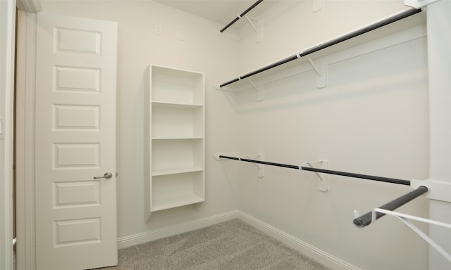 walk in closet featuring carpet floors