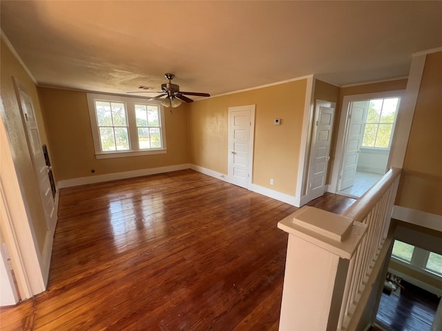 interior space featuring dark hardwood / wood-style flooring, a wealth of natural light, crown molding, and ceiling fan