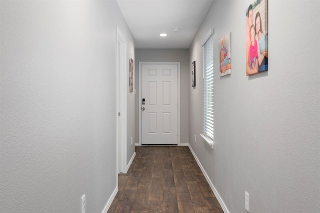 hall with dark hardwood / wood-style flooring and a wealth of natural light