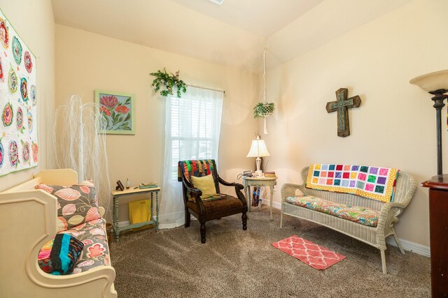 sitting room featuring carpet floors