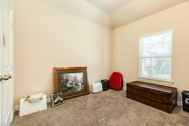 miscellaneous room with light carpet