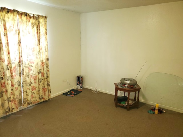 view of carpeted spare room