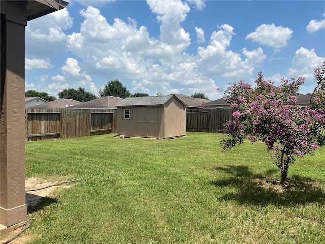 view of yard featuring a storage unit