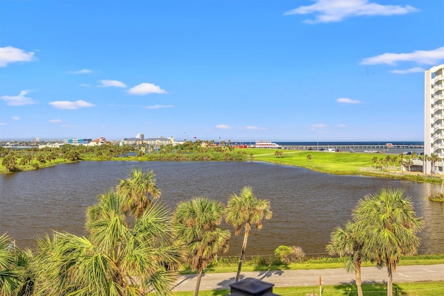 9520 Seawall Blvd Unit 338, Galveston, TX 77554 - water view