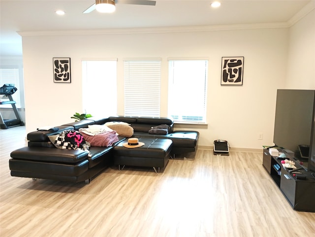 living room with ceiling fan, light hardwood / wood-style flooring, and crown molding