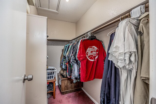 walk in closet with carpet flooring