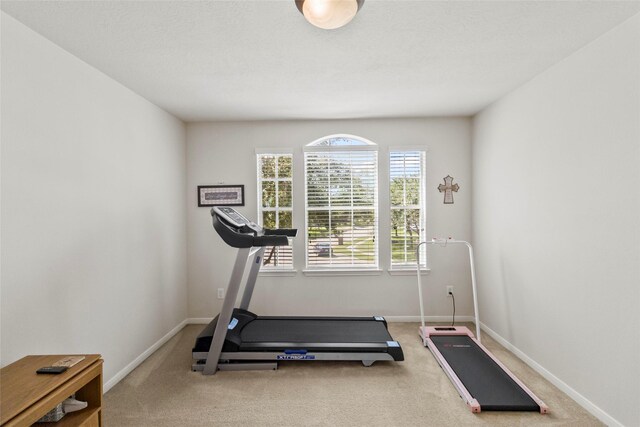 workout room with carpet flooring