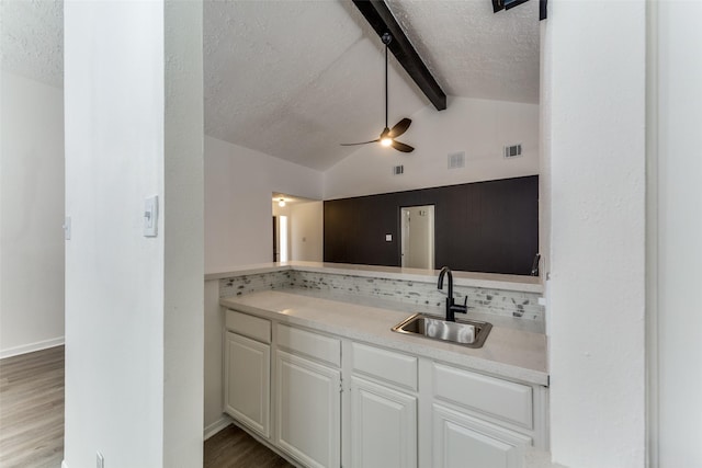 15038 Timberlea Dr, Houston, TX 77489 - bathroom with a sink, backsplash, a textured ceiling, wood finished floors, and a ceiling fan