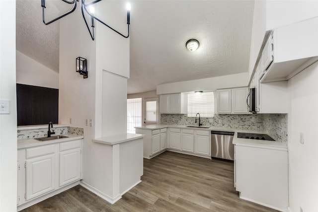 15038 Timberlea Dr, Houston, TX 77489 - kitchen featuring a sink, appliances with stainless steel finishes, a textured ceiling, backsplash, and lofted ceiling