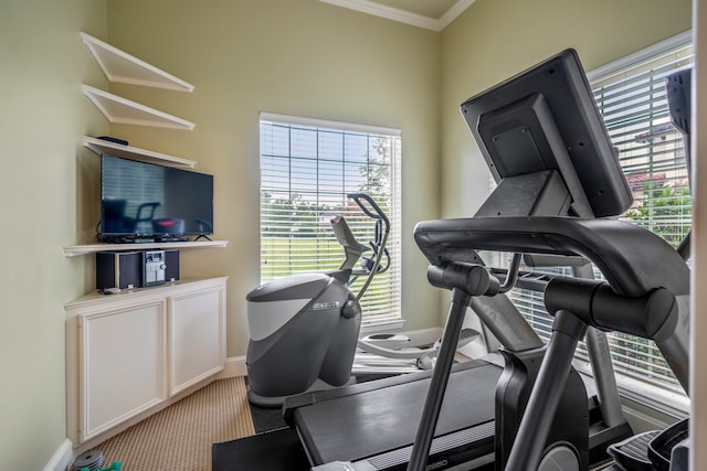 exercise room with ornamental molding and carpet flooring