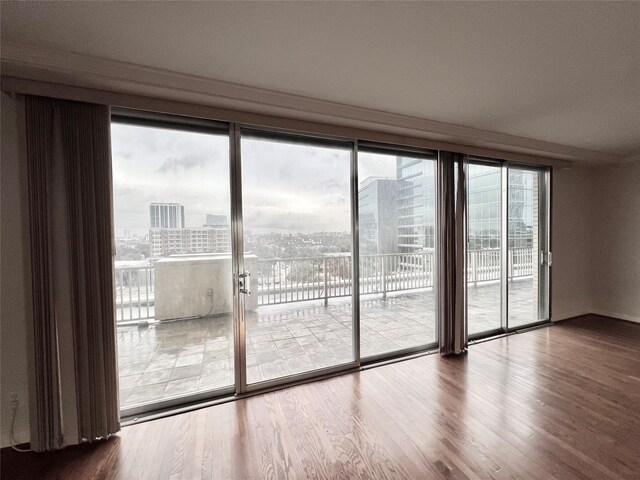 unfurnished room with hardwood / wood-style floors