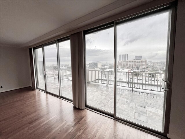 unfurnished room with floor to ceiling windows and hardwood / wood-style floors