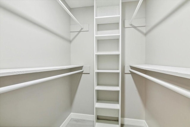 view of spacious closet