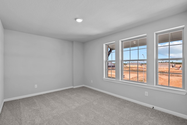 unfurnished room with a textured ceiling and carpet floors