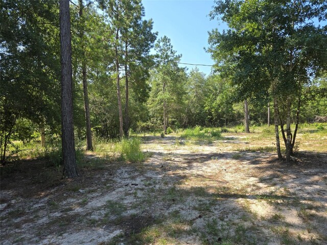 Listing photo 2 for 1603 Damon Ln, Kountze TX 77625