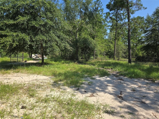 Listing photo 3 for 1603 Damon Ln, Kountze TX 77625