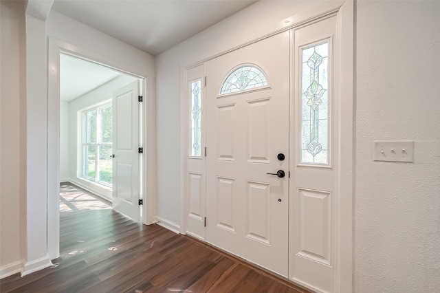 entrance foyer featuring dark hardwood / wood-style flooring