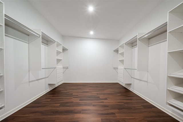 spacious closet with dark hardwood / wood-style flooring