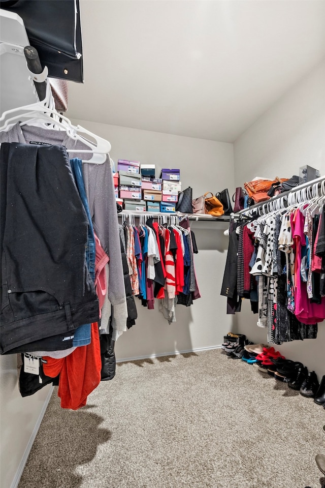 walk in closet with carpet