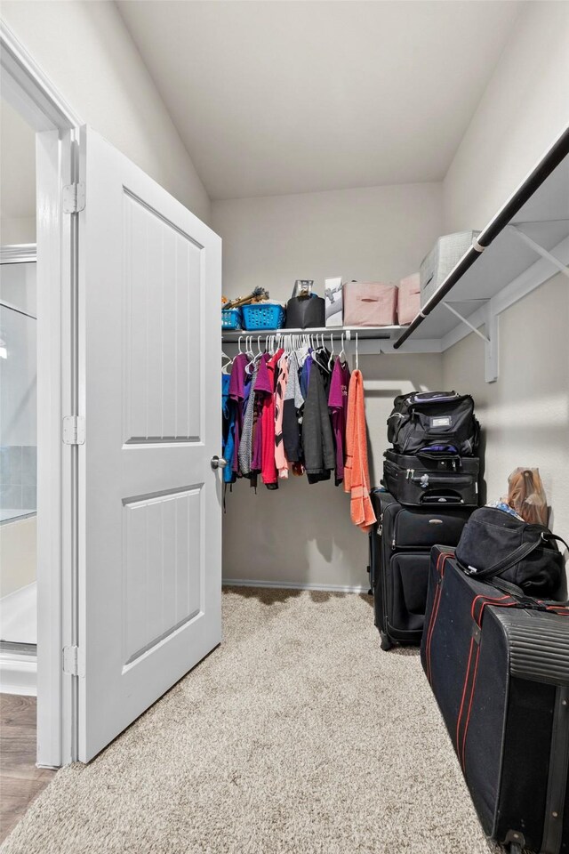 walk in closet featuring carpet floors