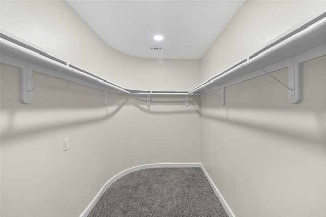 spacious closet featuring carpet floors