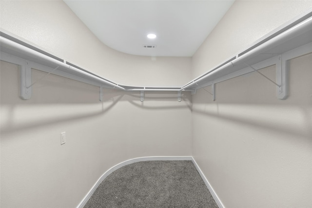 spacious closet with carpet flooring and visible vents