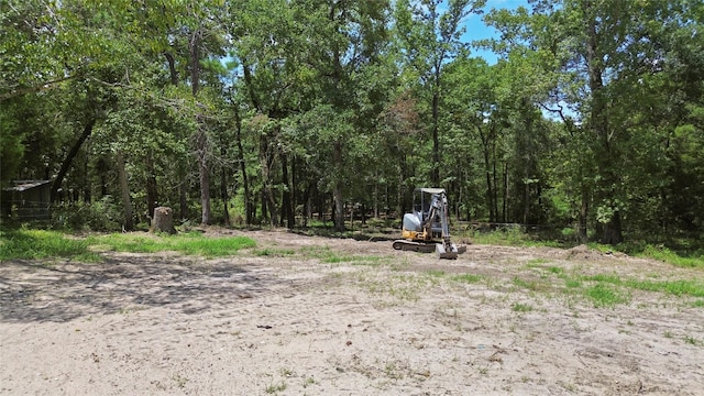 view of yard featuring a wooded view