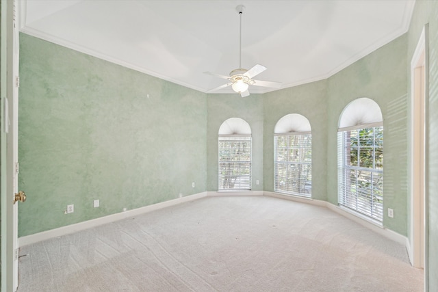 spare room featuring ornamental molding, carpet flooring, and ceiling fan