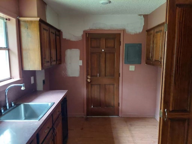 kitchen with a textured ceiling, dishwasher, electric panel, light hardwood / wood-style flooring, and sink