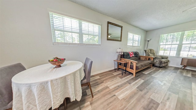 dining room featuring hardwood / wood-style floors and a textured ceiling