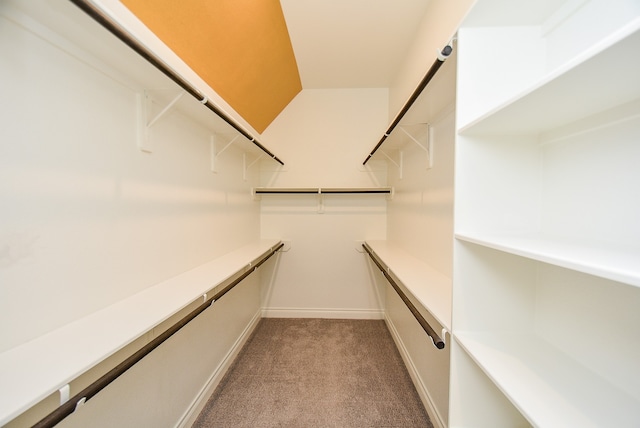 spacious closet with light carpet