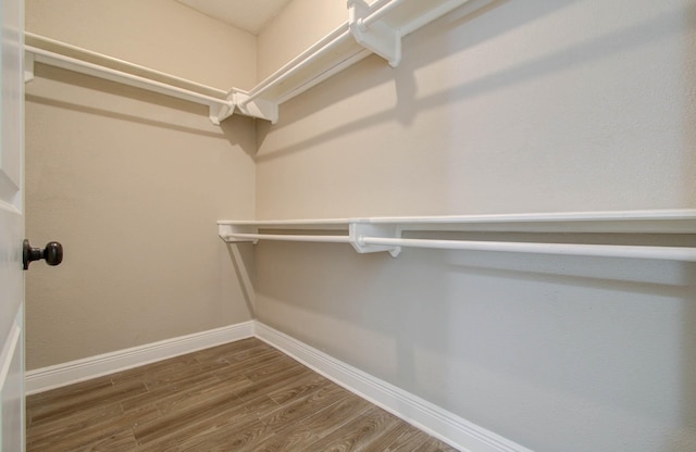 spacious closet with hardwood / wood-style flooring