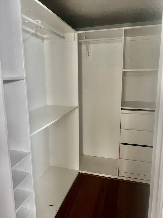 spacious closet featuring wood-type flooring