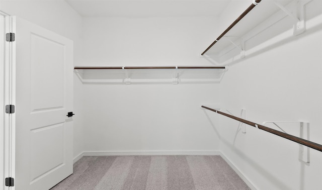 walk in closet with light carpet