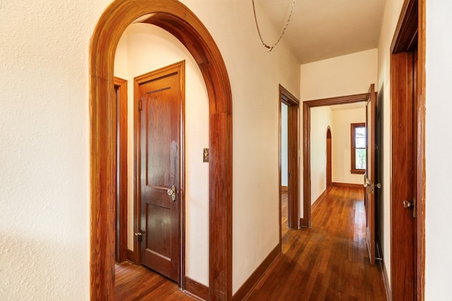 hall with dark hardwood / wood-style flooring