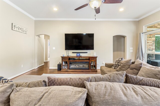 living room featuring ceiling fan, crown molding, and wood-type flooring