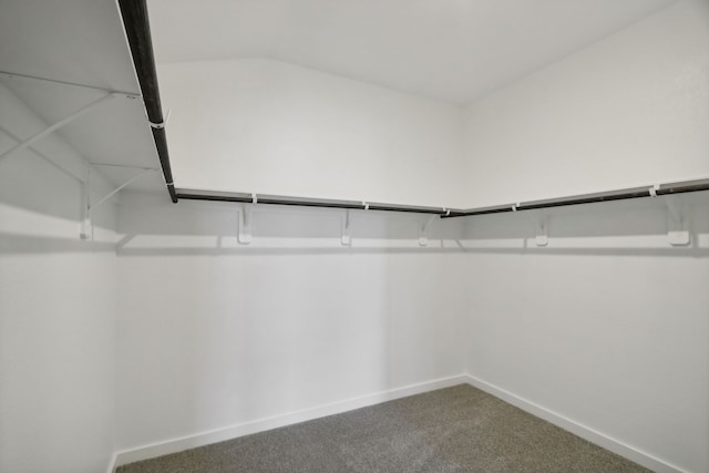 spacious closet with vaulted ceiling and carpet flooring