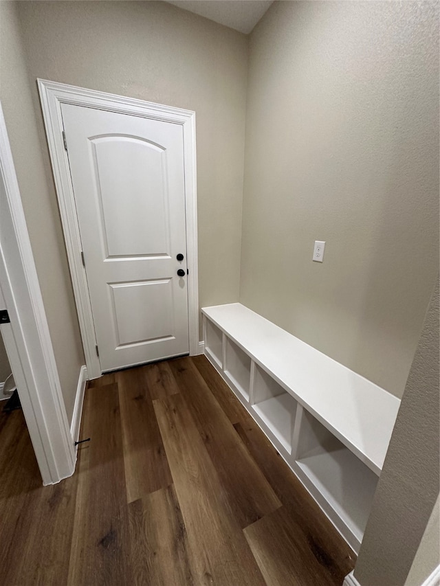 mudroom with dark hardwood / wood-style flooring