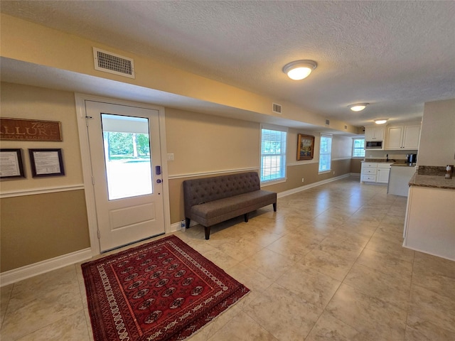 foyer with a textured ceiling and a healthy amount of sunlight