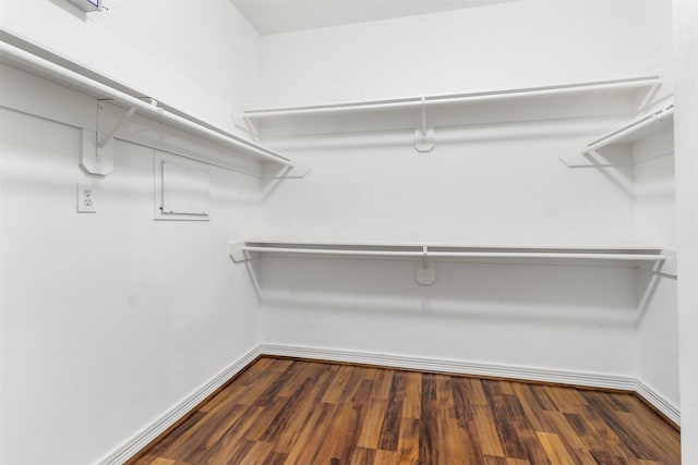 walk in closet featuring dark wood-type flooring