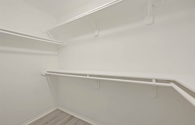 spacious closet with light hardwood / wood-style flooring