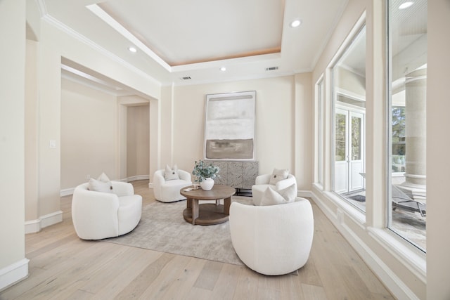 living area featuring light wood-type flooring and a raised ceiling