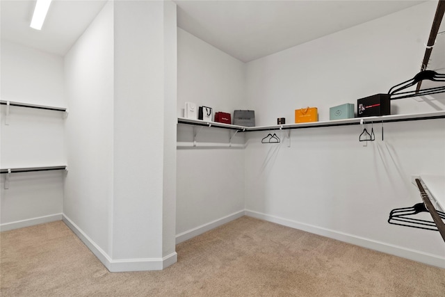 walk in closet with light colored carpet