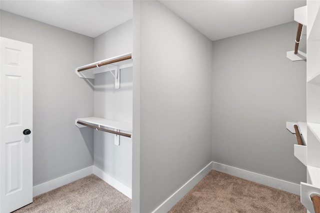 spacious closet featuring light colored carpet